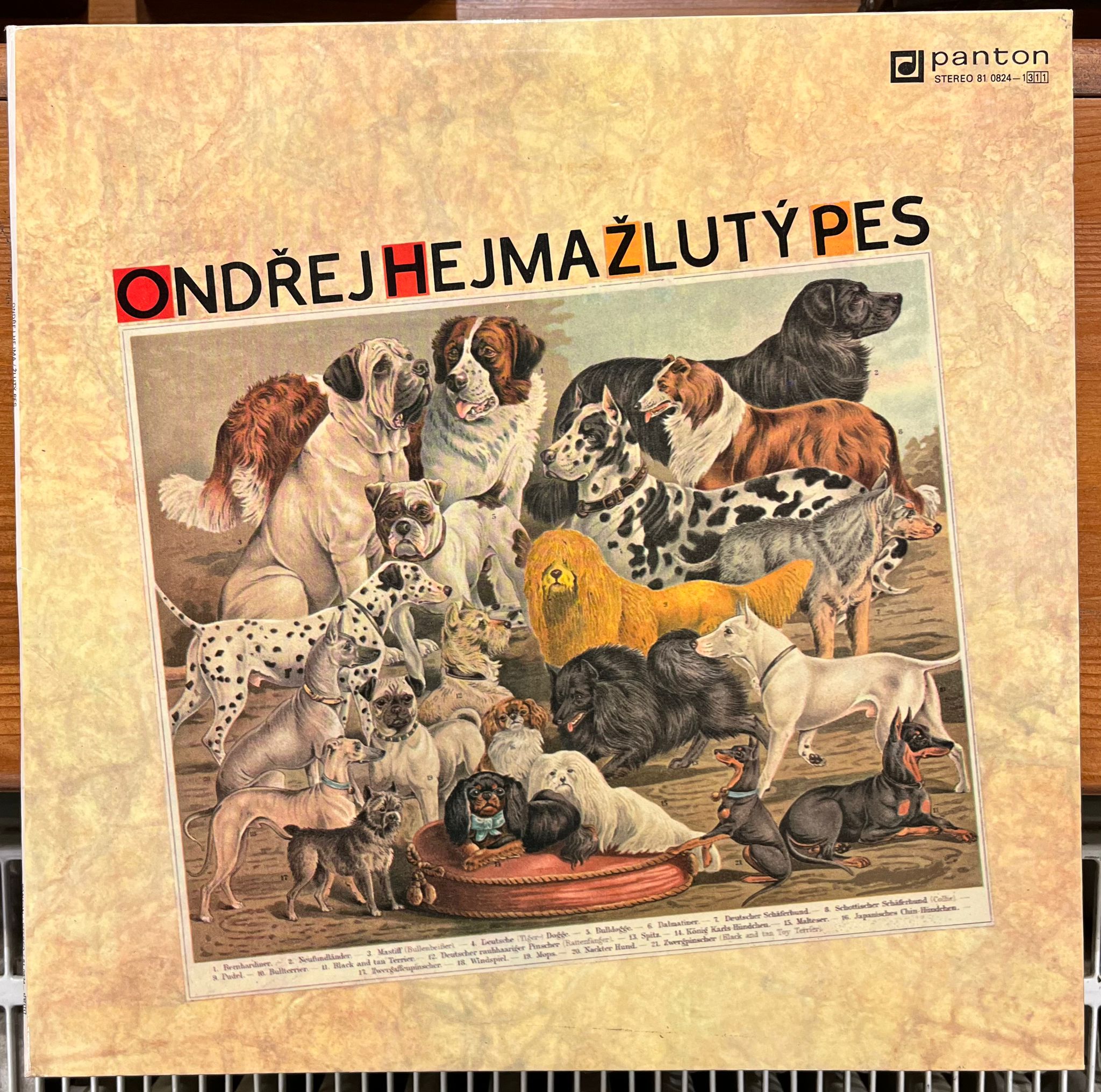 LP Ondřej Hejma : Žlutý pes